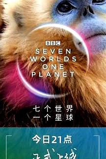 七個世界，一個星球