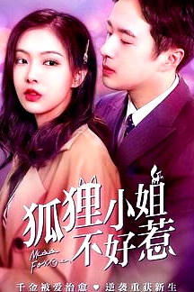 狐貍小姐不好惹