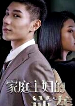 家庭主婦的逆襲