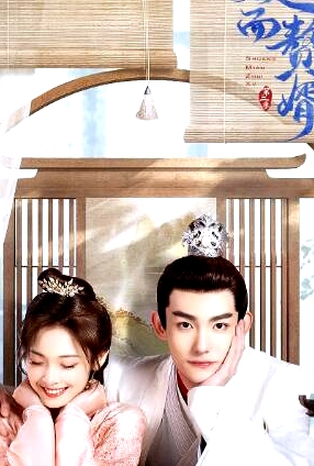 雙面贅婿第二季