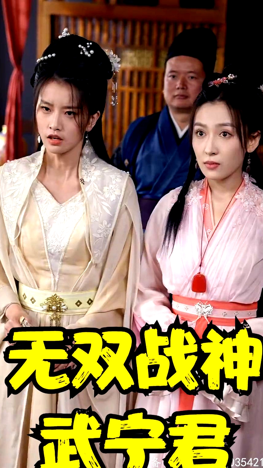 無雙戰(zhàn)神武寧君