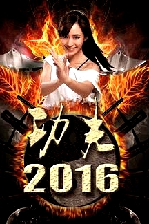功夫2016