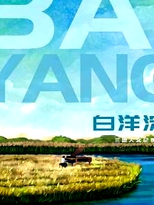 白洋淀