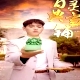 百靈典當(dāng)鋪