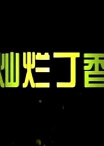 燦爛丁香
