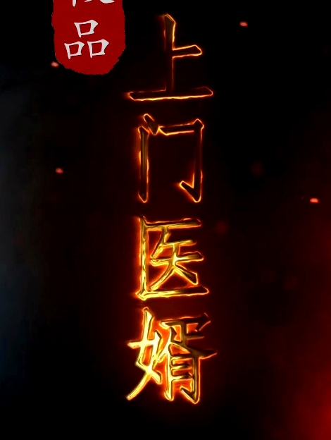極品上門醫(yī)婿