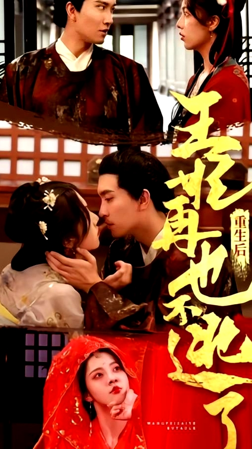 重生后王妃再也不逃了