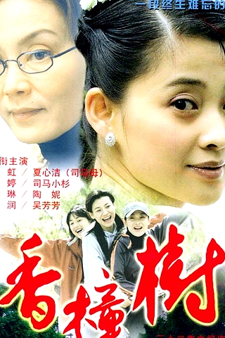香樟樹