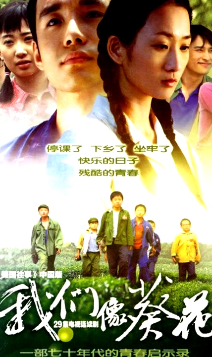 我們像葵花
