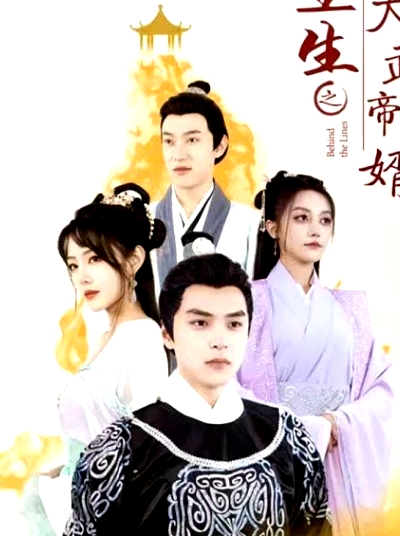 重生之大武帝婿