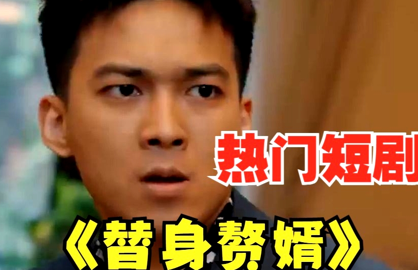 女總裁的替身贅婿