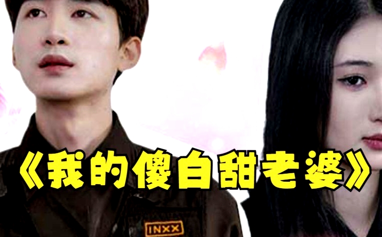我的傻白甜媳婦（神龍狂婿）