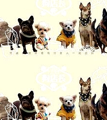 狗店長粵語