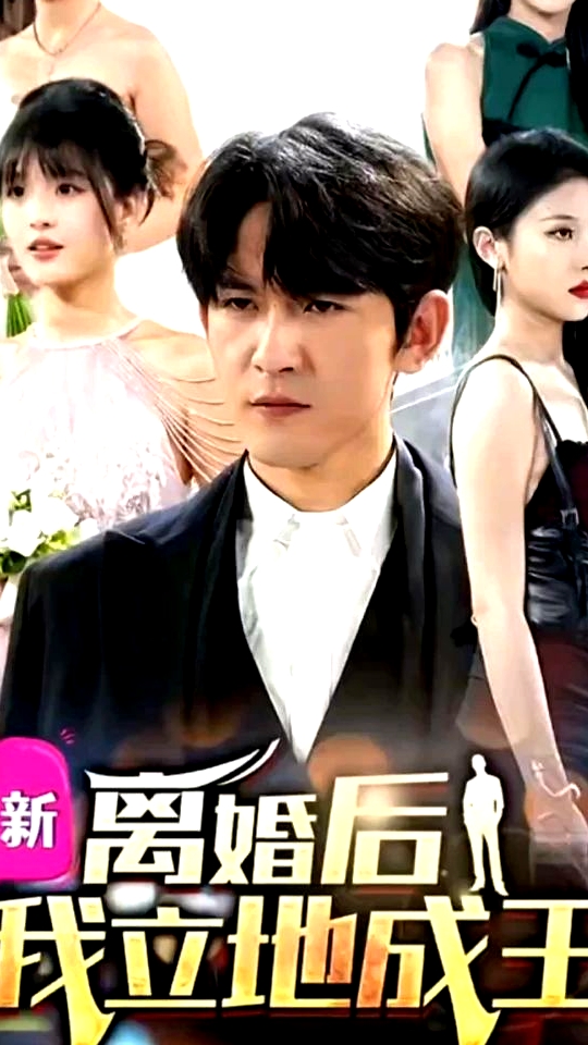 離婚后我立地成王