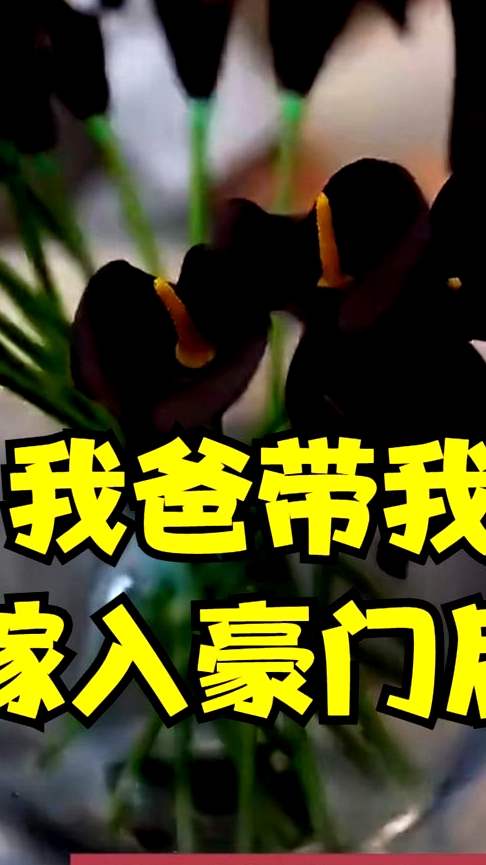 我爸帶我嫁入豪門后