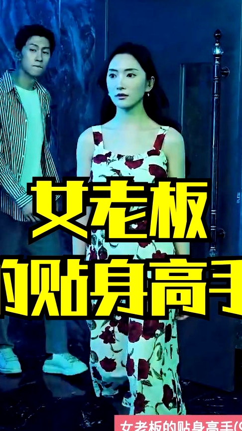 女老板的貼身高手