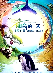 地球：神奇的一天
