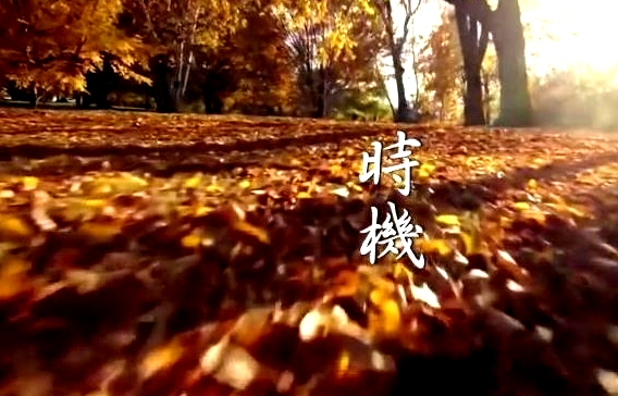 神奇百草游粵語(yǔ)
