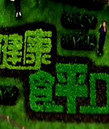 健康食平D粵語