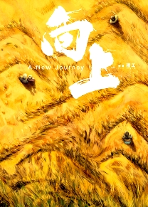 向上