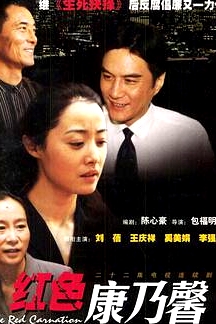 紅色康乃馨
