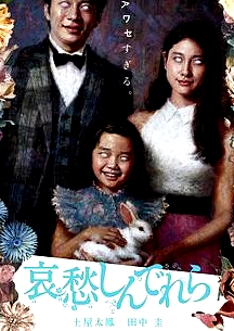 哀愁灰姑娘