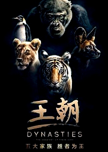 王朝 第一季
