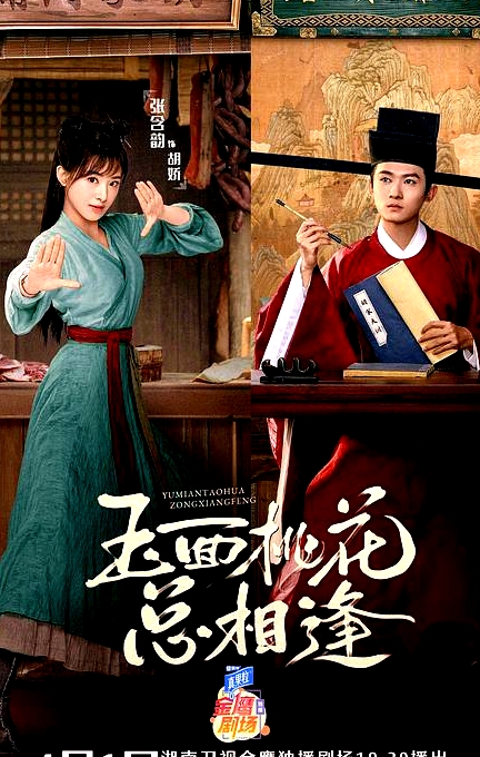 玉面桃花總相逢越南語版