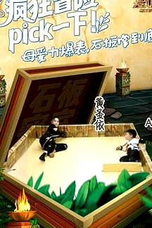 瘋狂的麥咭第五季