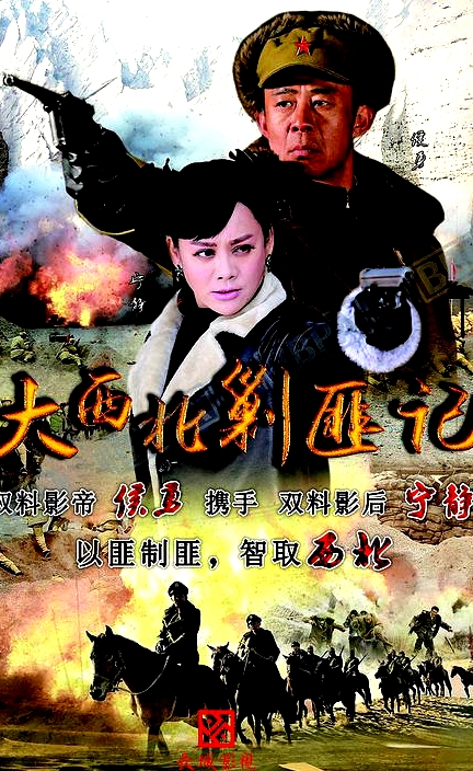 大西北剿匪記