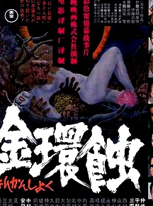 金環(huán)蝕