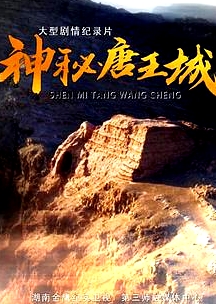 神秘唐王城