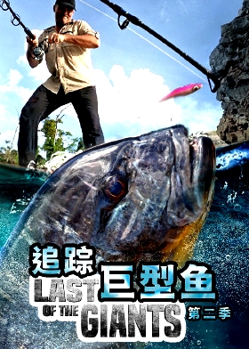 追蹤巨型魚(yú) 第二季