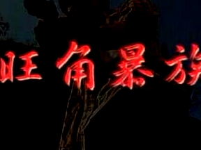 《旺角暴族》Mongkok Story 關(guān)寶慧、尹天照、吳華新等主演