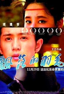 飄落的羽毛