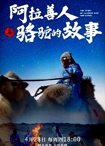 阿拉善人與駱駝的故事