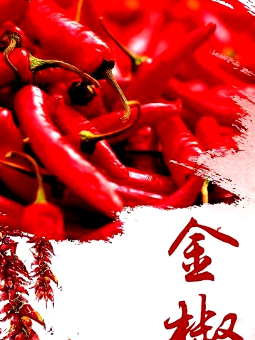 金椒