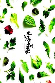 愛上川菜