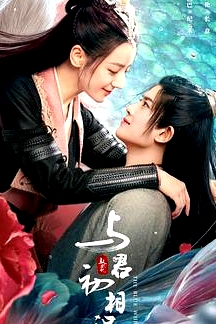 與君初相識