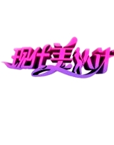 現(xiàn)代美人計 2010